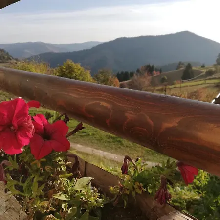 Pensiune Panorama 2*